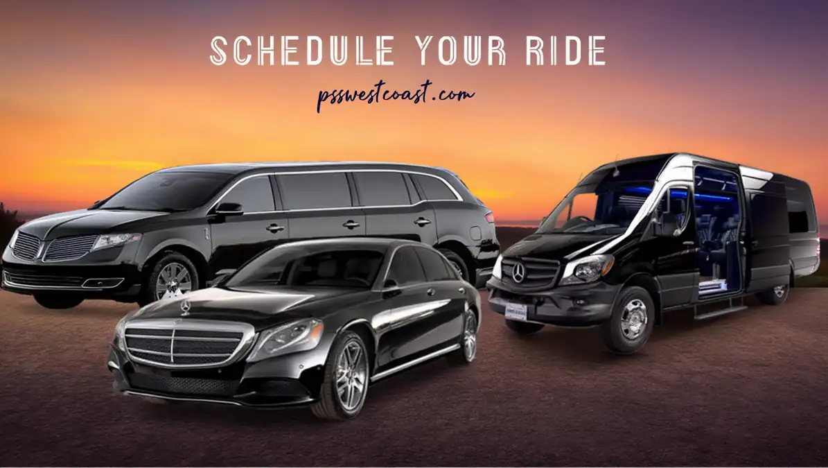Luxury transportation fleet lined up at sunset for Las Vegas corporate event transportation booking