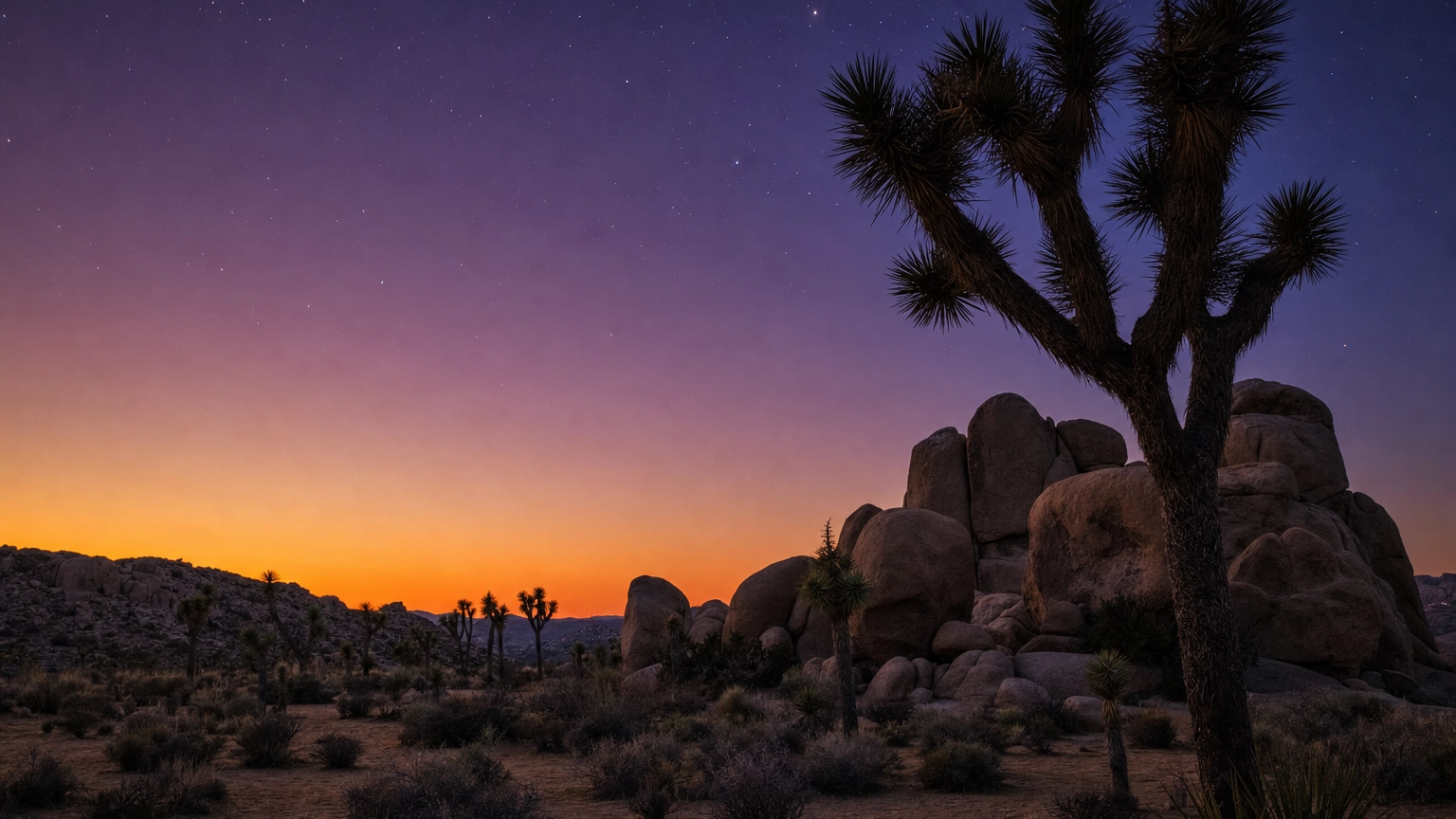 Silhouetted Joshua trees and rounded granite boulders under a purple and orange dusk sky in Joshua Tree National Park